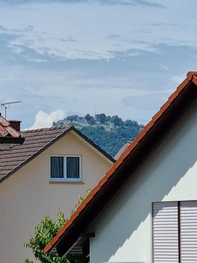 Elviras Apartment Singen Rum bild